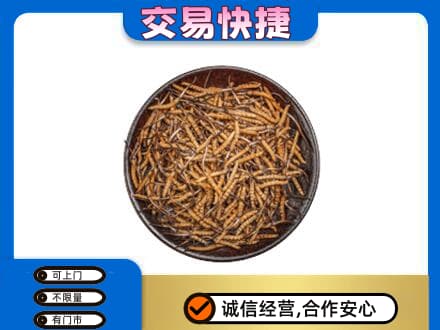 温州瓯海区礼品回收虫草.jpg